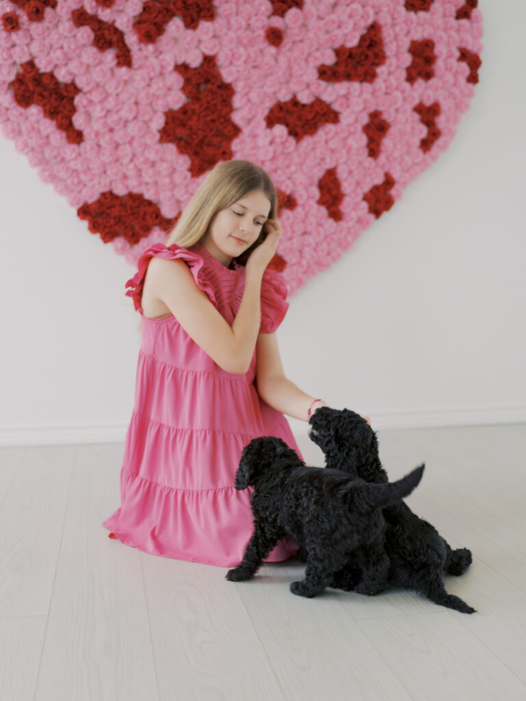teen girl sitting with puppies climbing on her lap by Colorado Springs Brand Photographer