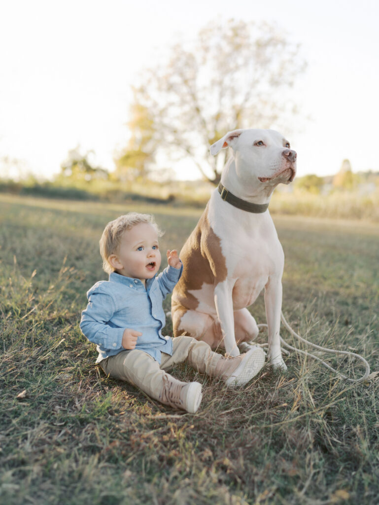 young toddler sitting on grass next to dog in Colorado Springs, CO