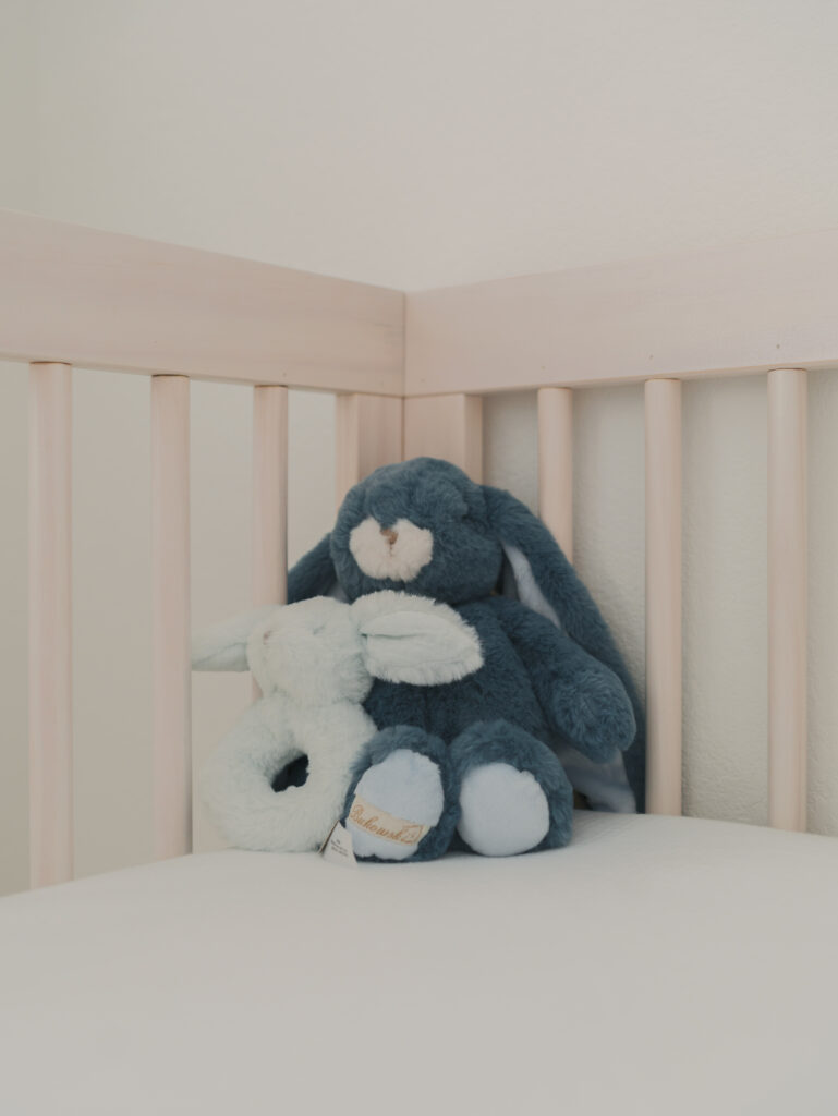 stuffed bunny in baby crib by Colorado Springs Maternity Photographer