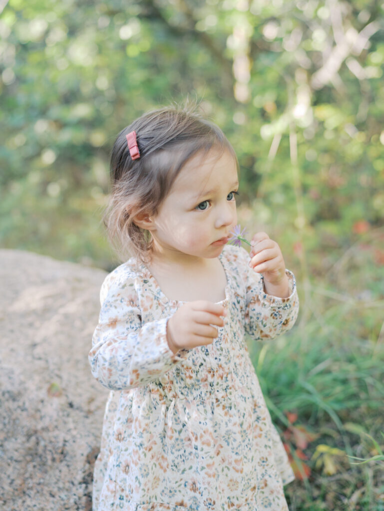 little girl smelling a flower at Colorado Springs Family Photo session at Bear Creek Nature Center Taken by Lauren Bounds Photography