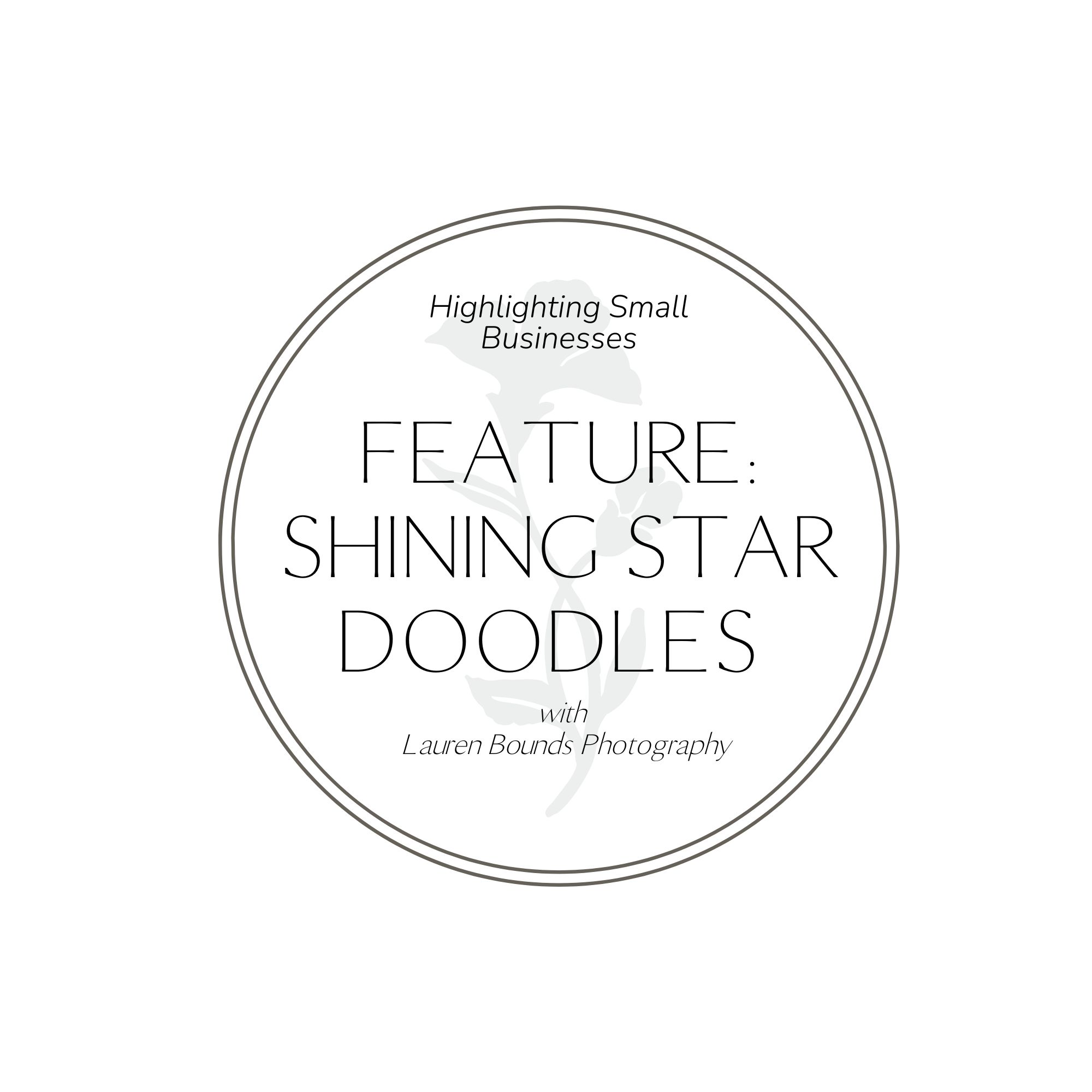 Colorado Springs Family Photographer: Feature Shining Star Doodles graphic