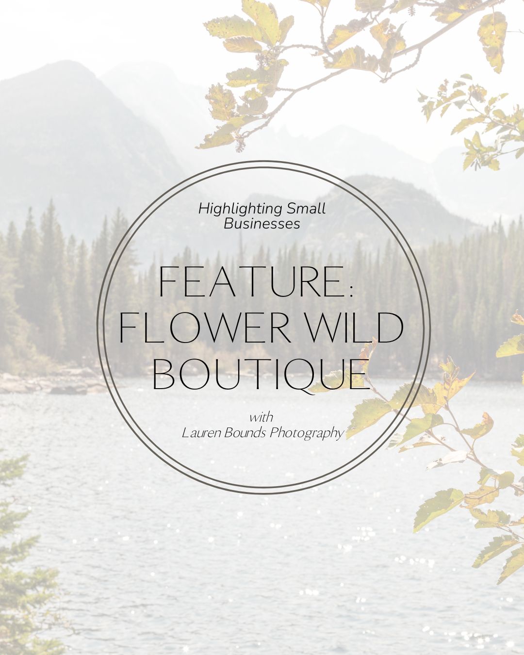 Feature for small businesses in colorado with Lauren Bounds, Colorado Springs Photographer