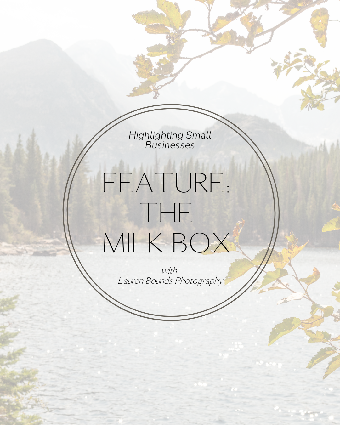 Newborn Photographer Colorado Springs: Featuring The Milk Box | Lauren Bounds Photography