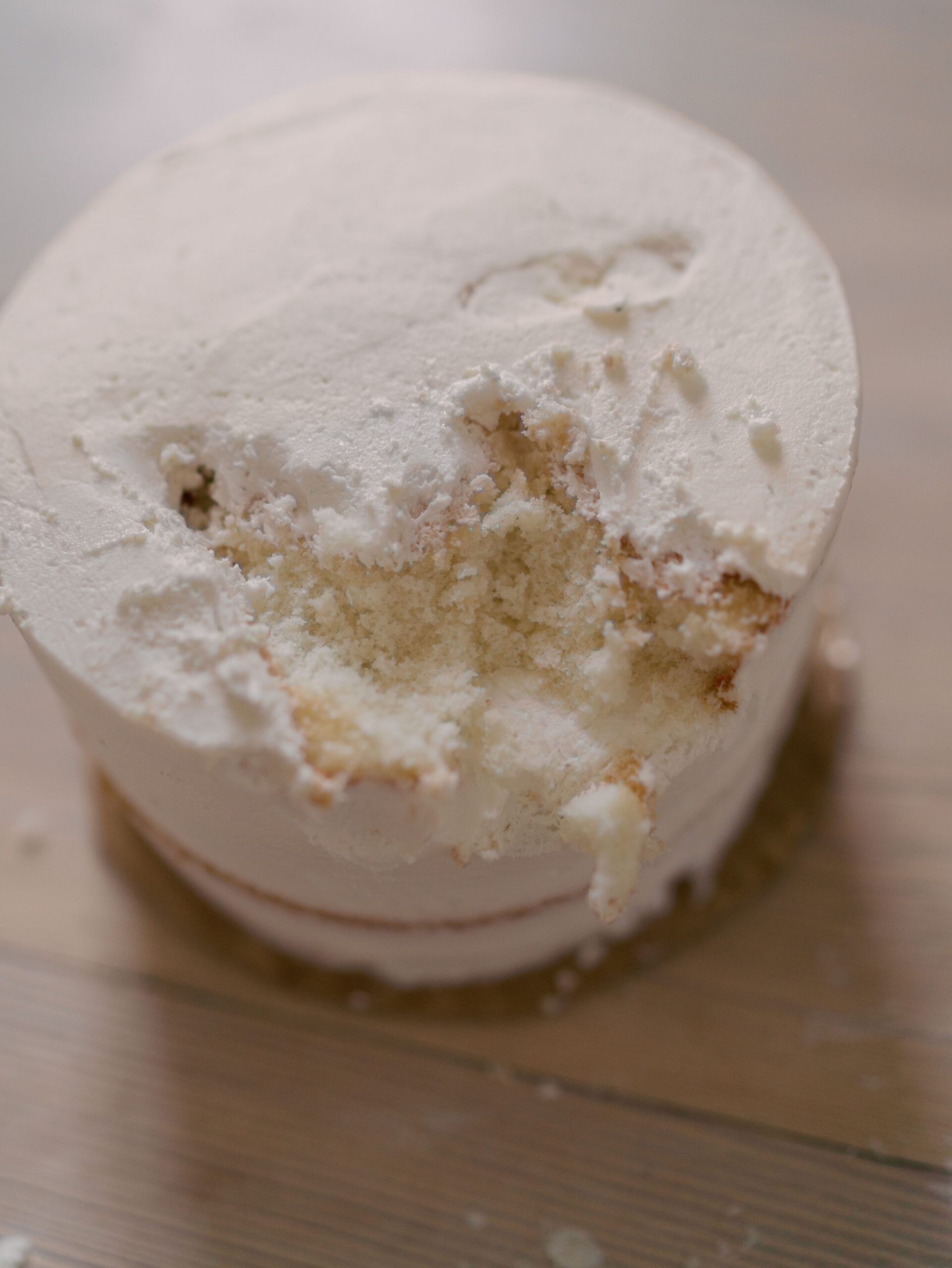 smash cake for one year photo session in colorado springs